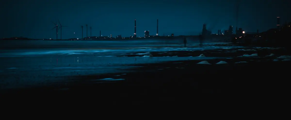 Stroomstoring industrie Zeeland: Botlek-risico 2026