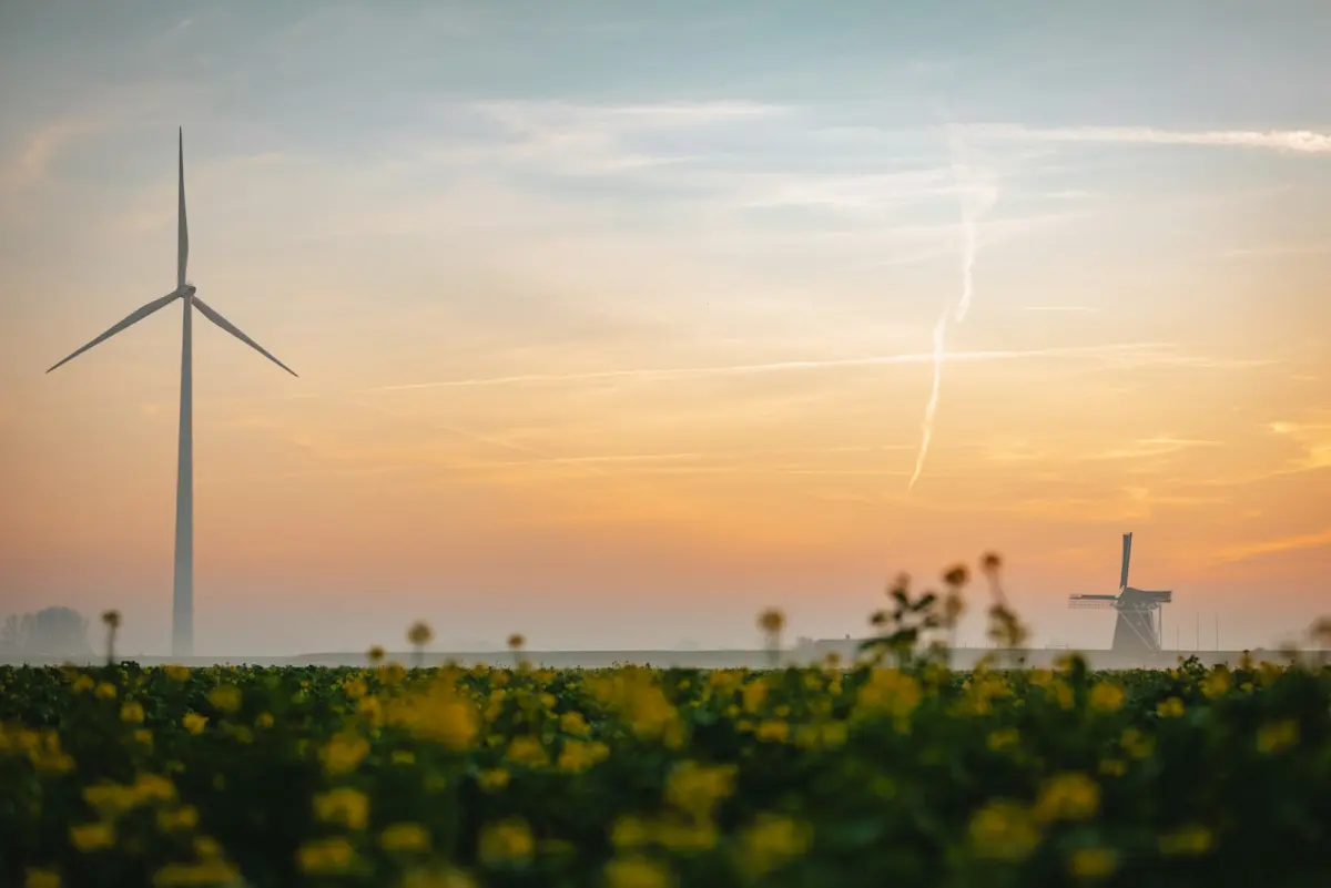 Stroomstoring Zeeland: wat gebeurt er als het net